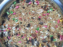 Higgins Dynasty Vita cockatiel 25lb