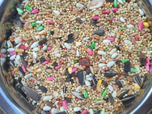 Dynasty Vita Cockatiel  fruits seed mix, breeders millet small bird food