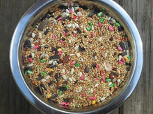 Dynasty Vita Cockatiel  fruits seed mix, breeders millet small bird food