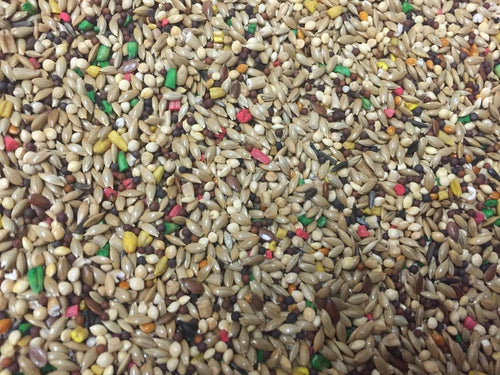 Dynasty Vita Canary Food Bulk  seed mix, breeders,millets,small bird food