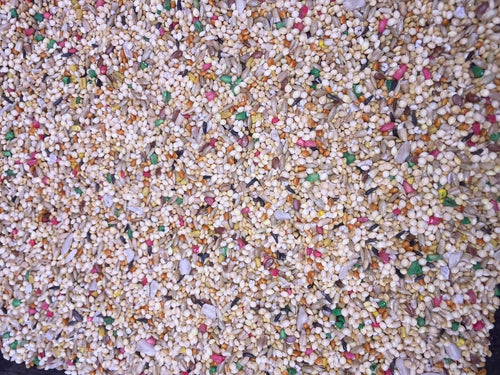 Higgins Dynasty Vita Finch 25lb bulk Finch seed mix finch diet