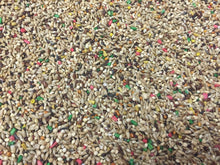 Dynasty Vita Canary Food Bulk  seed mix, breeders,millets,small bird food