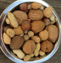 046706707041 higgins boca nuts in shell VillagesPetProducts.com
