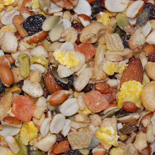 046706707034 Higgins boca nuts no shell 20lb villagespetproducts.com