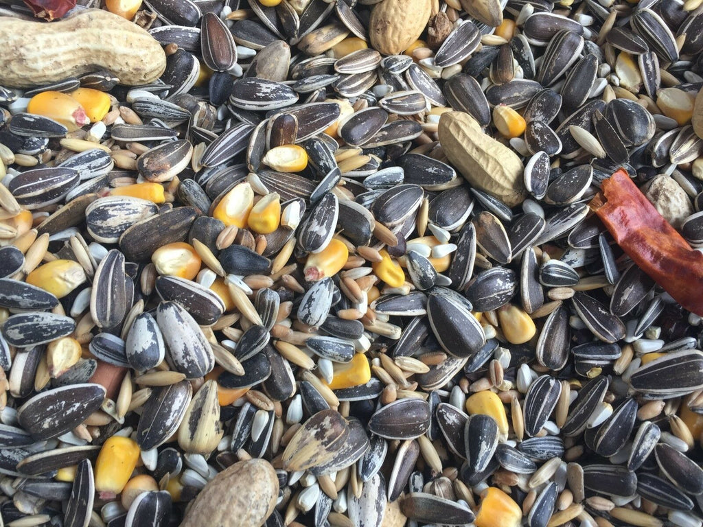 Higgins supreme parrot seed mix parrot food bulk Villages pet products