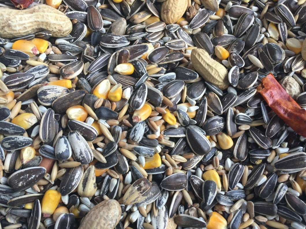 Higgins supreme parrot seed mix parrot food bulk FREE SHIPPING