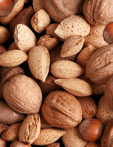 Premium Mixed Nuts in Shell, California Jumbo Chandler Walnuts, Georgia Extra Large Pecans, California Almonds, Large Oregon Hazelnuts, Buttery Taste Brazil Nuts in Box, 8 Lbs