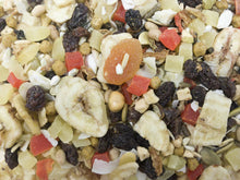 Higgins Sunburst Gourmet Treats Fruits & Veggies Large 20lb