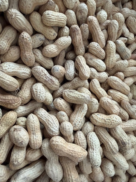 Bird Peanuts Shell Raw In-Shell Peanuts for birds and critters – Villages pet products