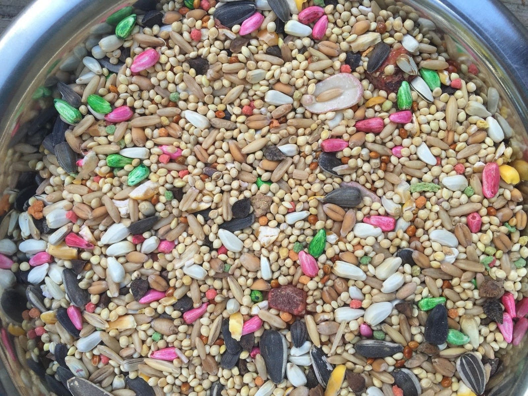 Dynasty Vita Cockatiel  fruits seed mix, breeders millet small bird food